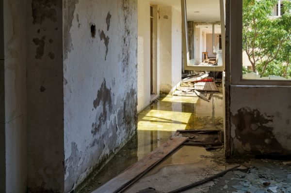 Water Removal Service in Winter Haven