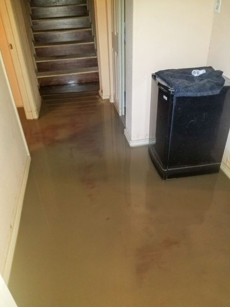 Emergency Water Removal in Winter Haven